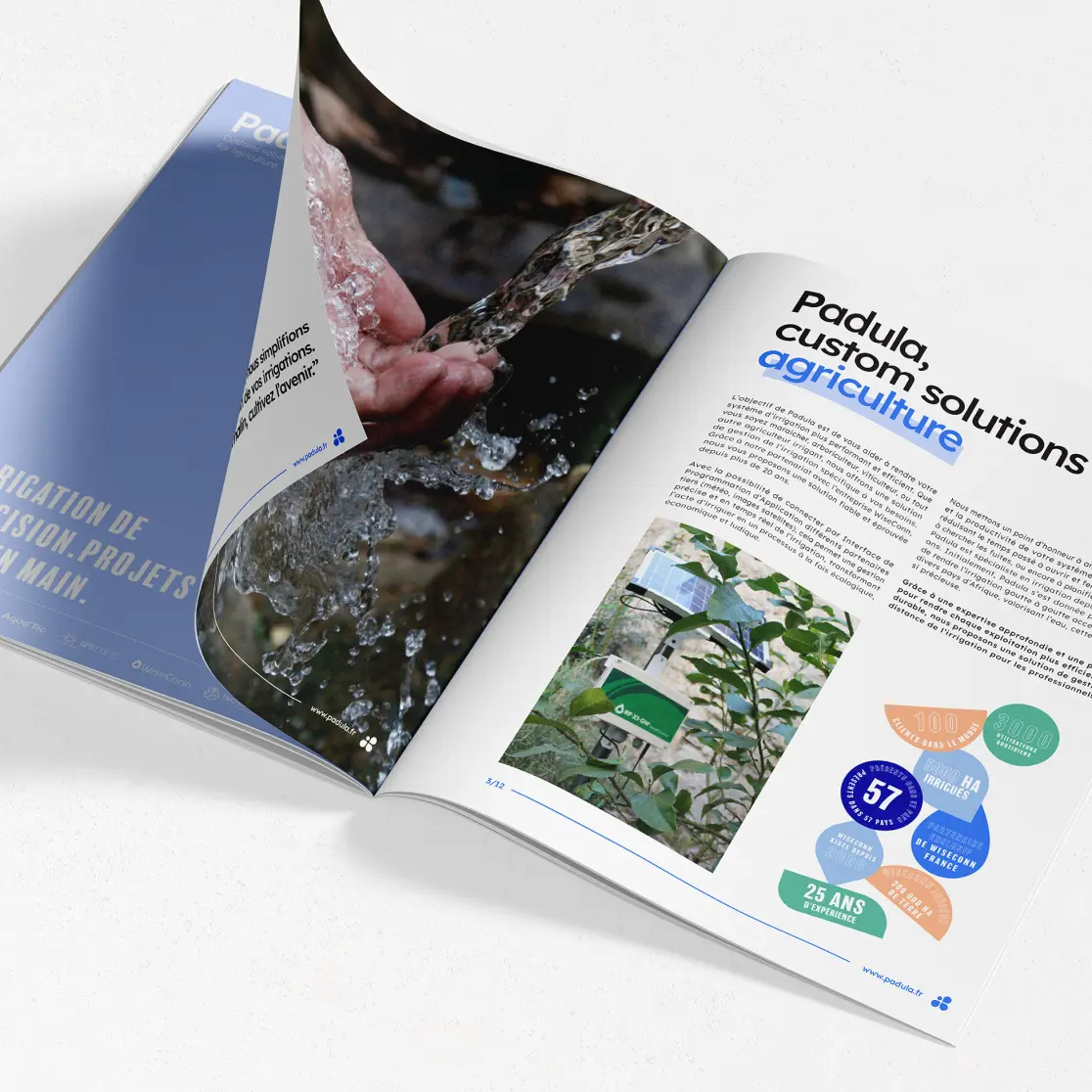 padula-brochure 1 padula brochure 1